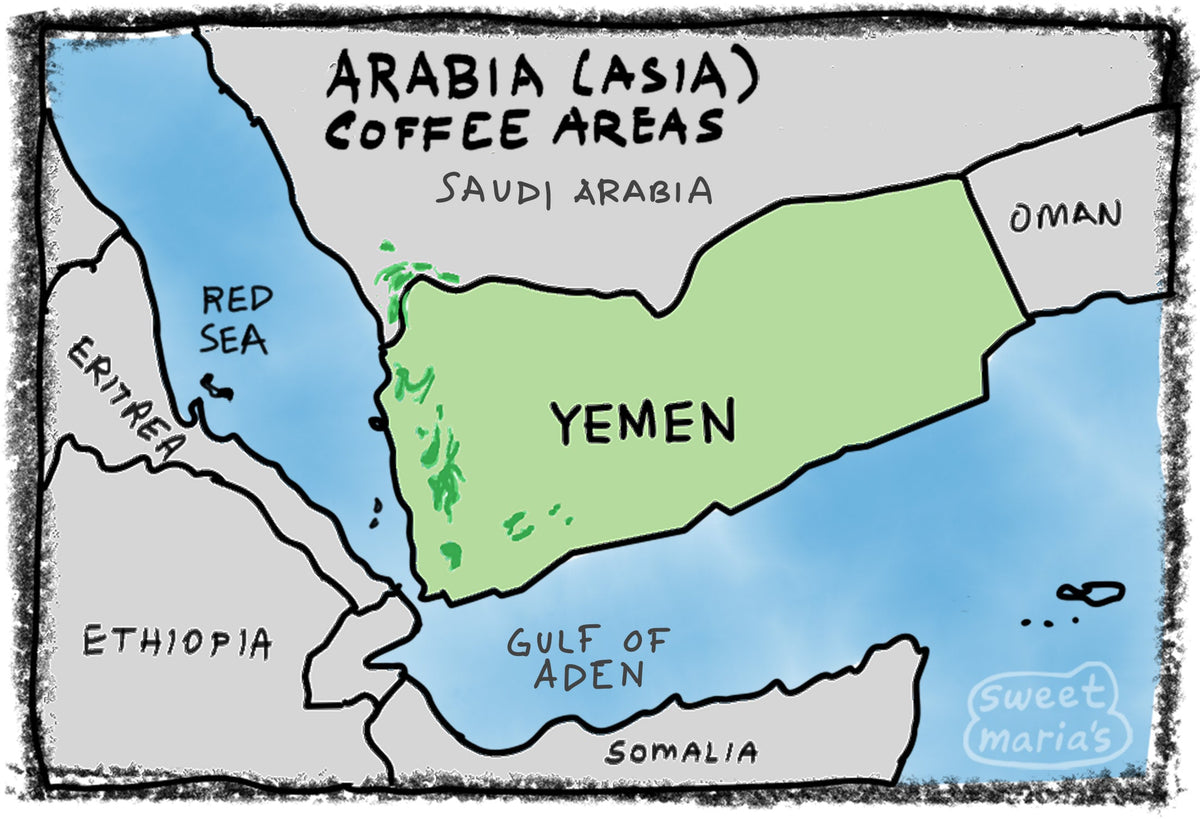 Green Coffee from Arabia