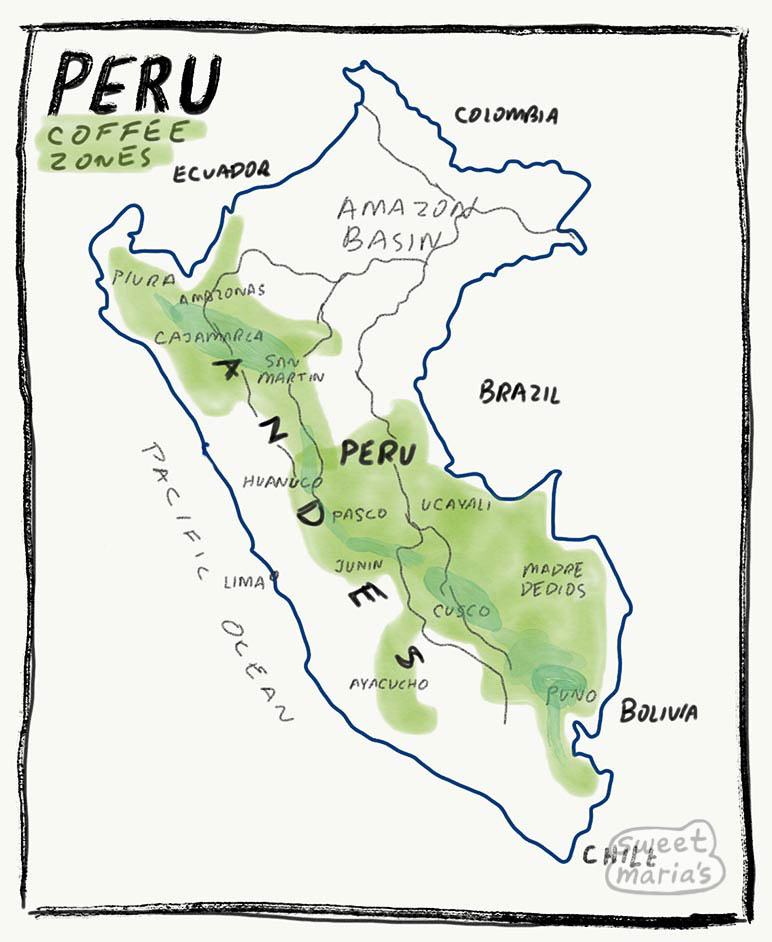 Peru - Coffee Shrub