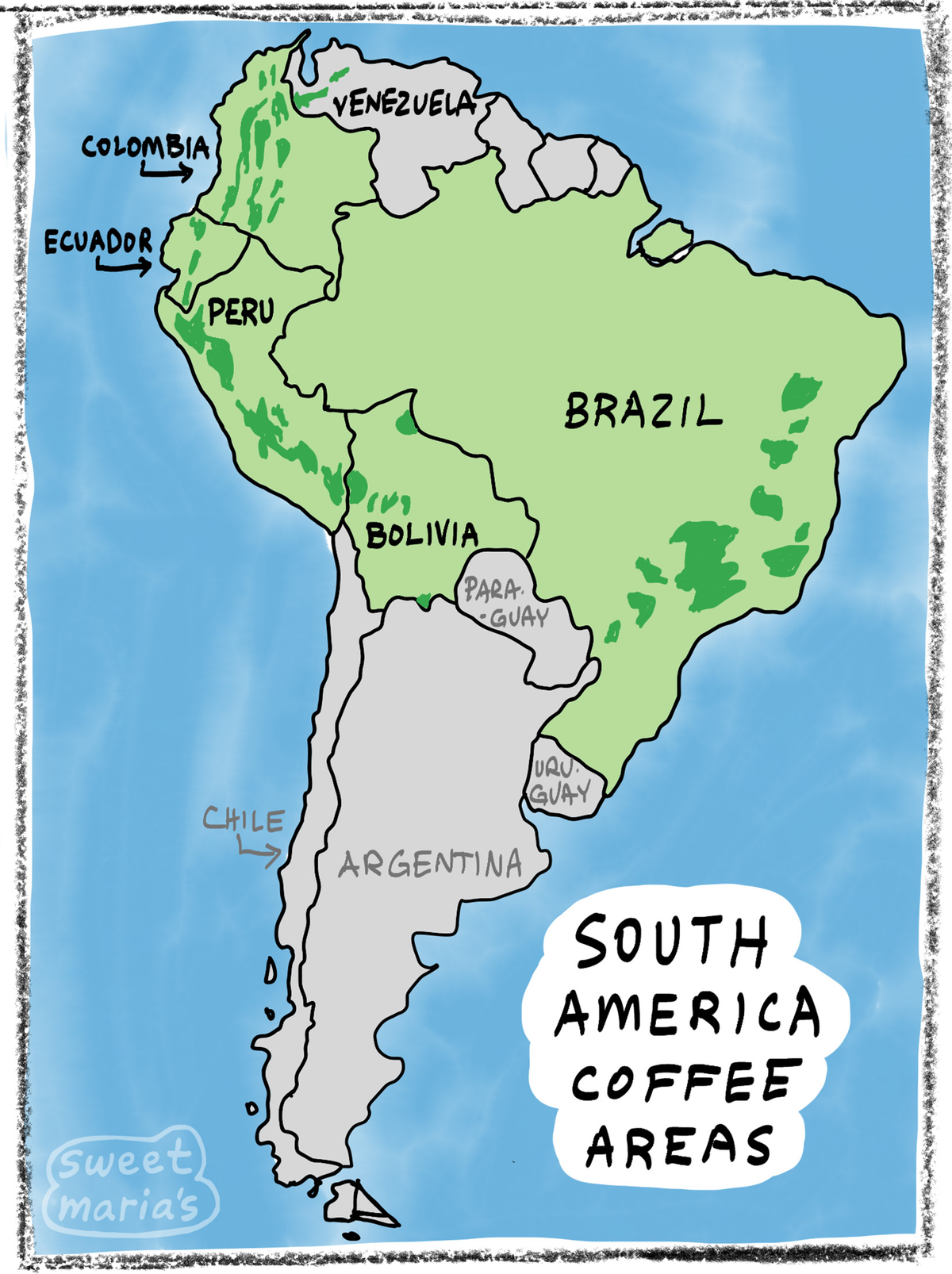 Green Coffee from South America