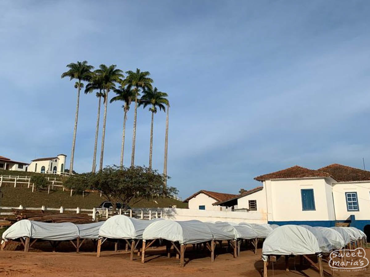 Raised covered beds at the Wagner farm in Mantiqueira de Minas.