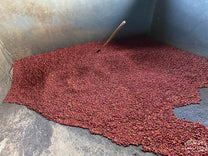 Nemba's cement receiving tank with coffee cherries waiting to be processed.