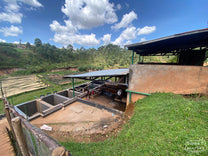 A view from the top of the Kibingo wet mill helps to illustrate how the coffee processing moves from top to bottom - pulper, to fermentation tanks, to the drying beds below. Kayanza, Burundi.