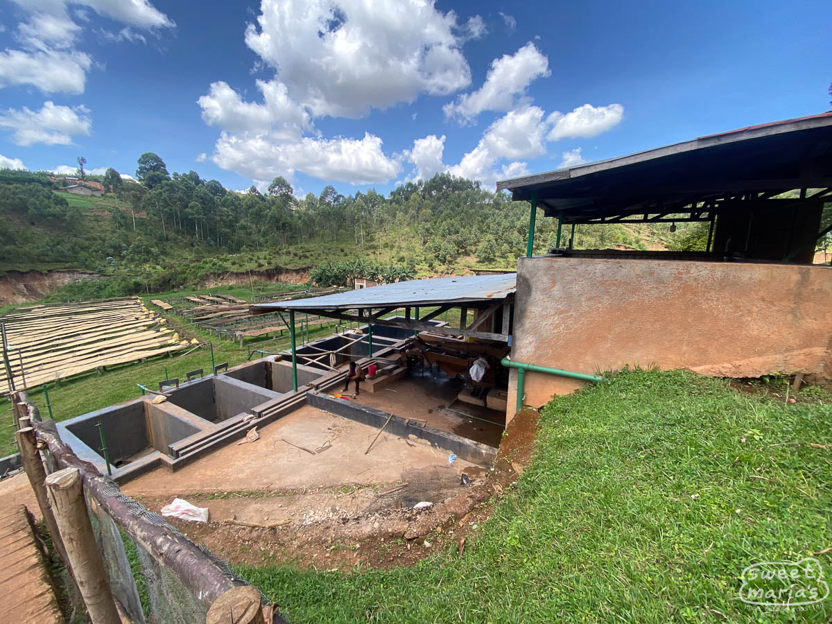 A wide angle shot of the Kibingo wet mill in Kayanza.