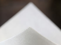 Chemex White Filters (FS-100)