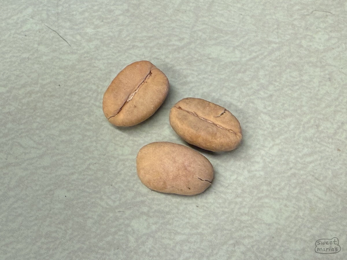 Three coffee seeds.