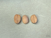 Three coffee seeds in parchment.
