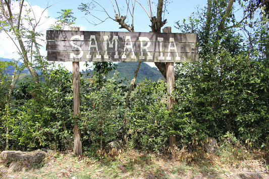 The wooden sign that greets you at Samaria coffee farm in Belén de Umbria, Risaralda, Colombia.