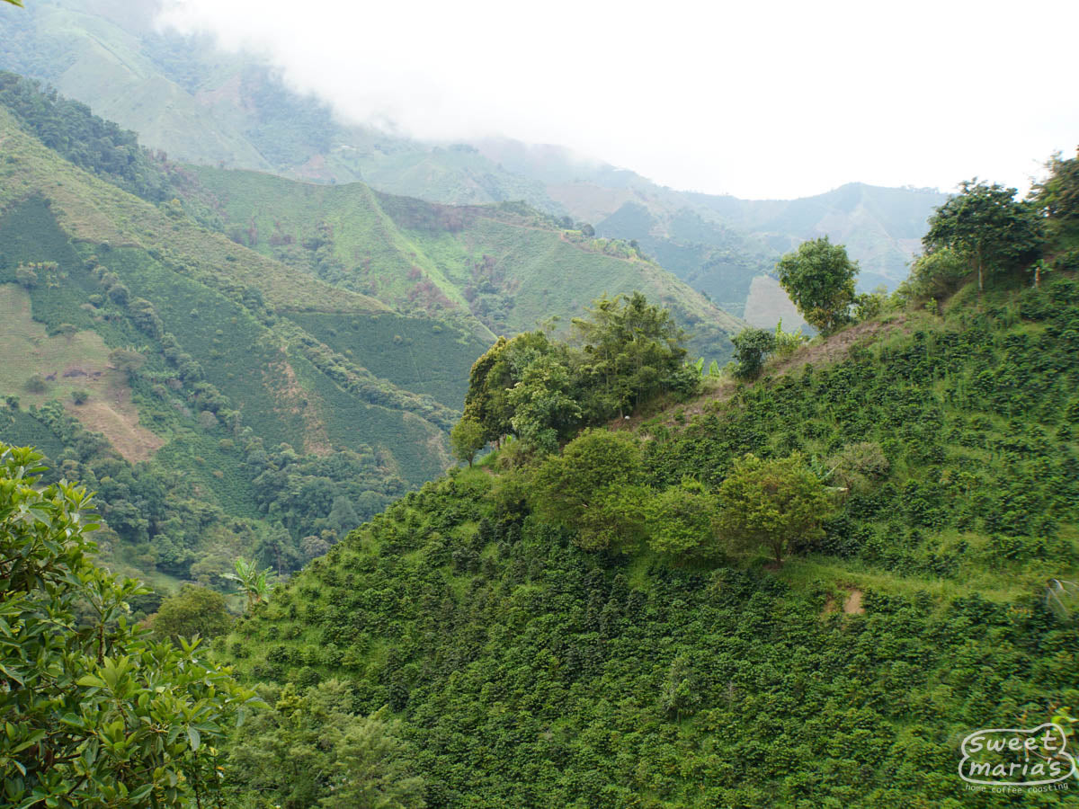  Tolima.