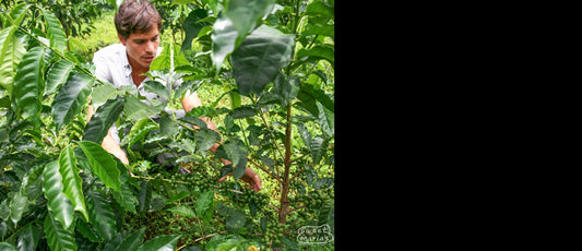 Diego Guardia in the field of his family farm and green coffee micro mill, Hacienda Sonora, in the Central Valley, Costa Rica.