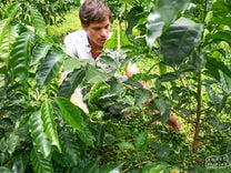 Diego Guardia in the field of his family farm and green coffee micro mill