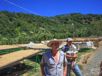  Tarrazu