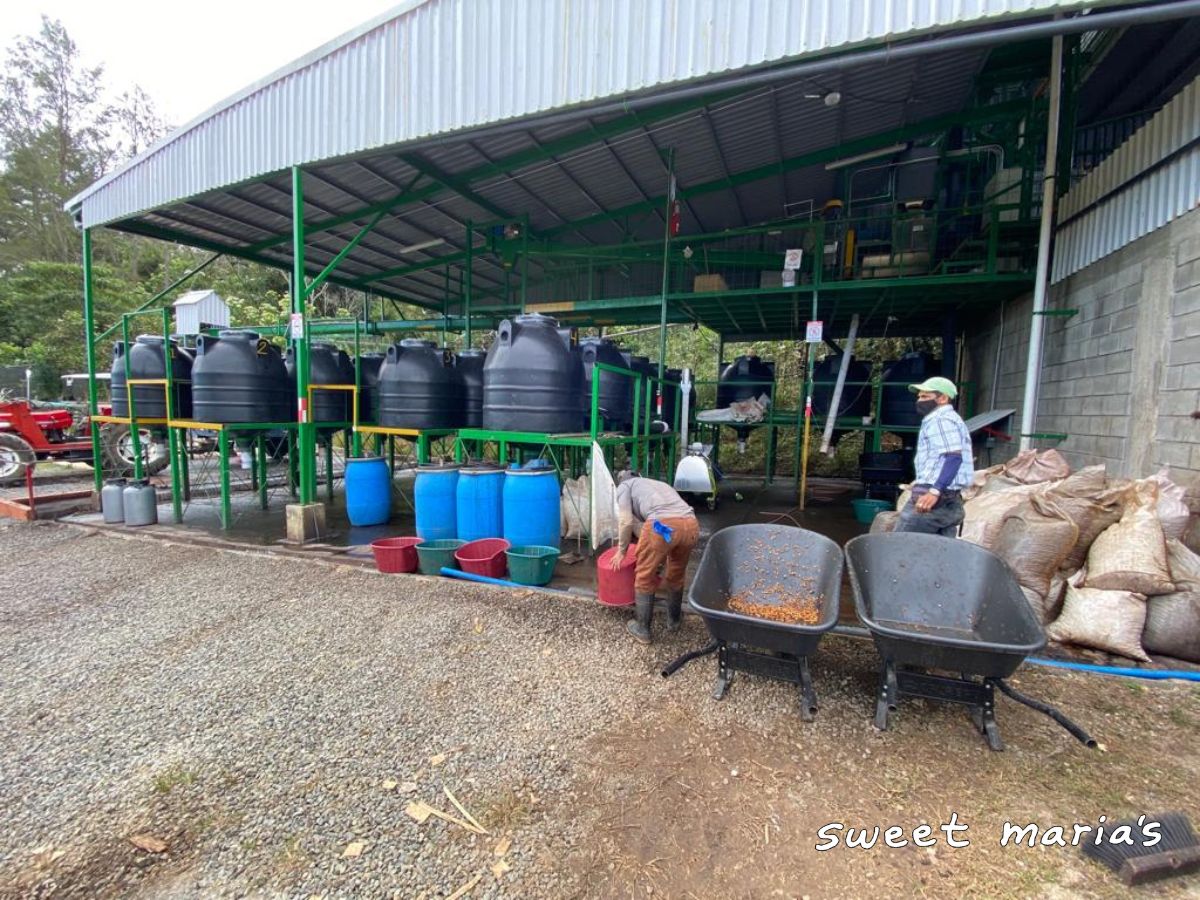  where Higuito was processed. Los Santos region.