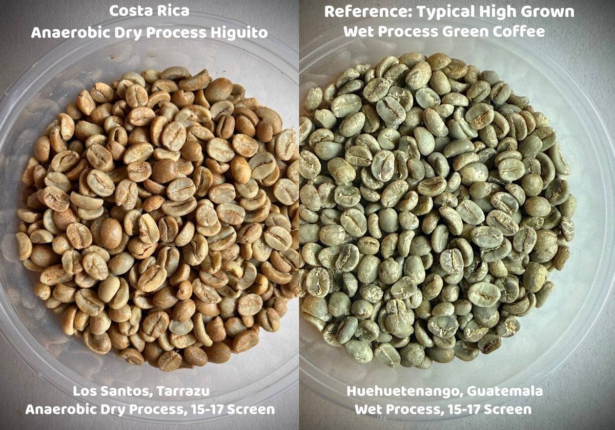 Costa Rica Anaerobic Dry Process Higuito