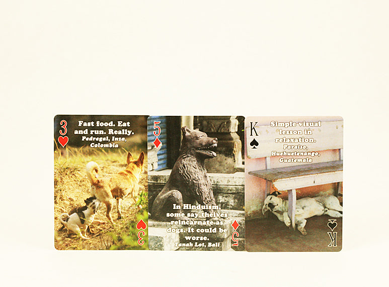 Dogs of Coffee Playing Cards