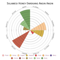 The town of Angin Angin, home to several small coffee producers, and where the farmer group behind this coffee are from. Enrekang, Sulawesi.