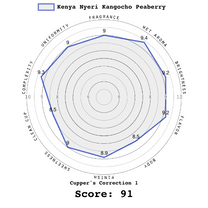 Green coffee, with the thin layer of parchment still intact, dries on raised beds at Kangocho Factory.