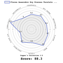 Whole coffee cherries harvested that day at a farm in Flores.