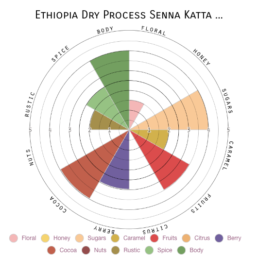 Yodit, coffee farmer and pharmacist, owner of Senna Katta Mountain green coffee farm in Limu Kossa, Ethiopia.