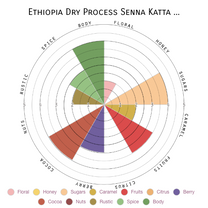 Yodit, coffee farmer and pharmacist, owner of Senna Katta Mountain green coffee farm in Limu Kossa, Ethiopia.