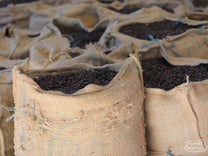Ethiopia Dry Process Bensa Kokose