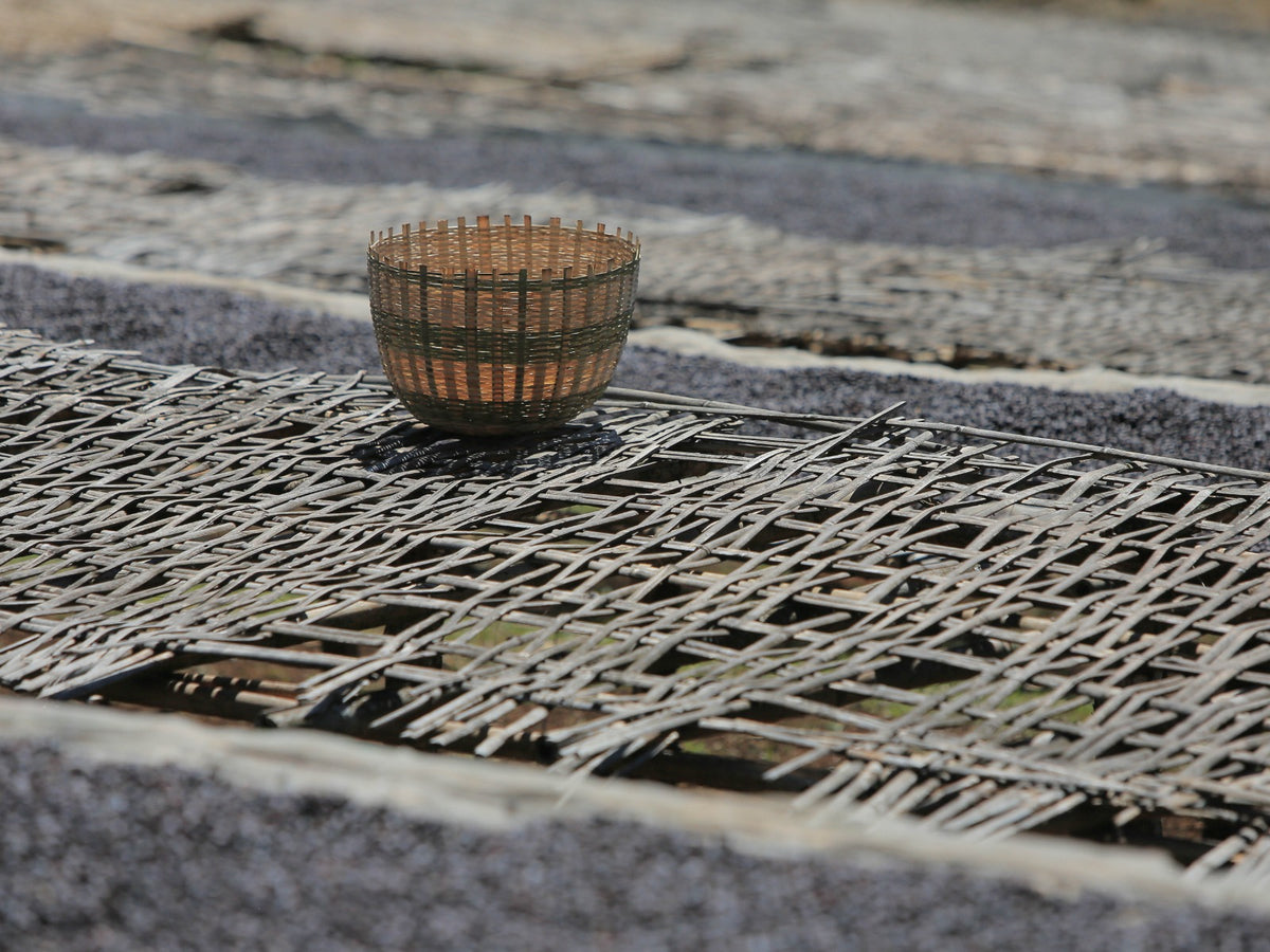 Woven basket used for sorting coffee rests on woven bamboo drying beds at a processing site in Uraga area.