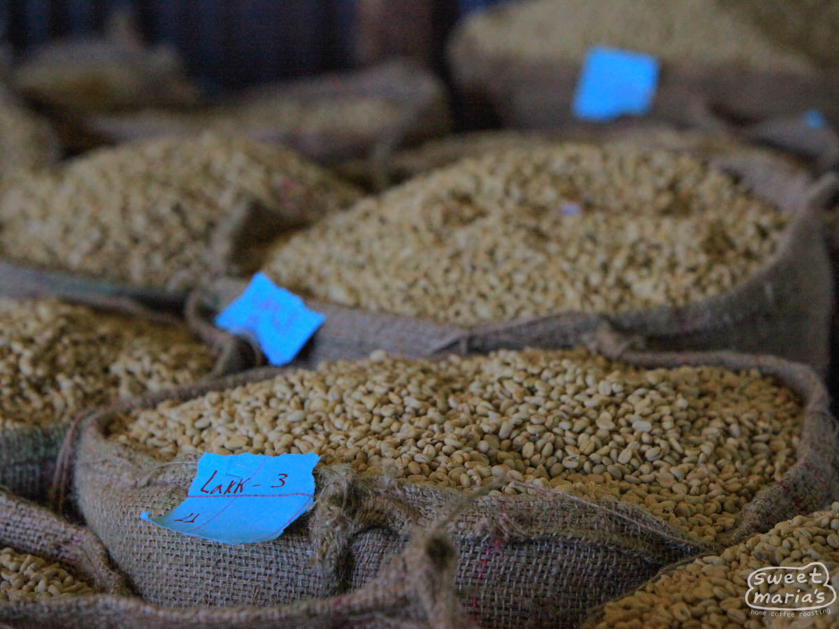Dried parchment coffee resting in the warehouse at Nano Challa awaiting final preparations for export.