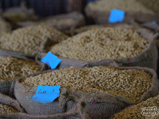Dried parchment coffee resting in the warehouse at Nano Challa awaiting final preparations for export.