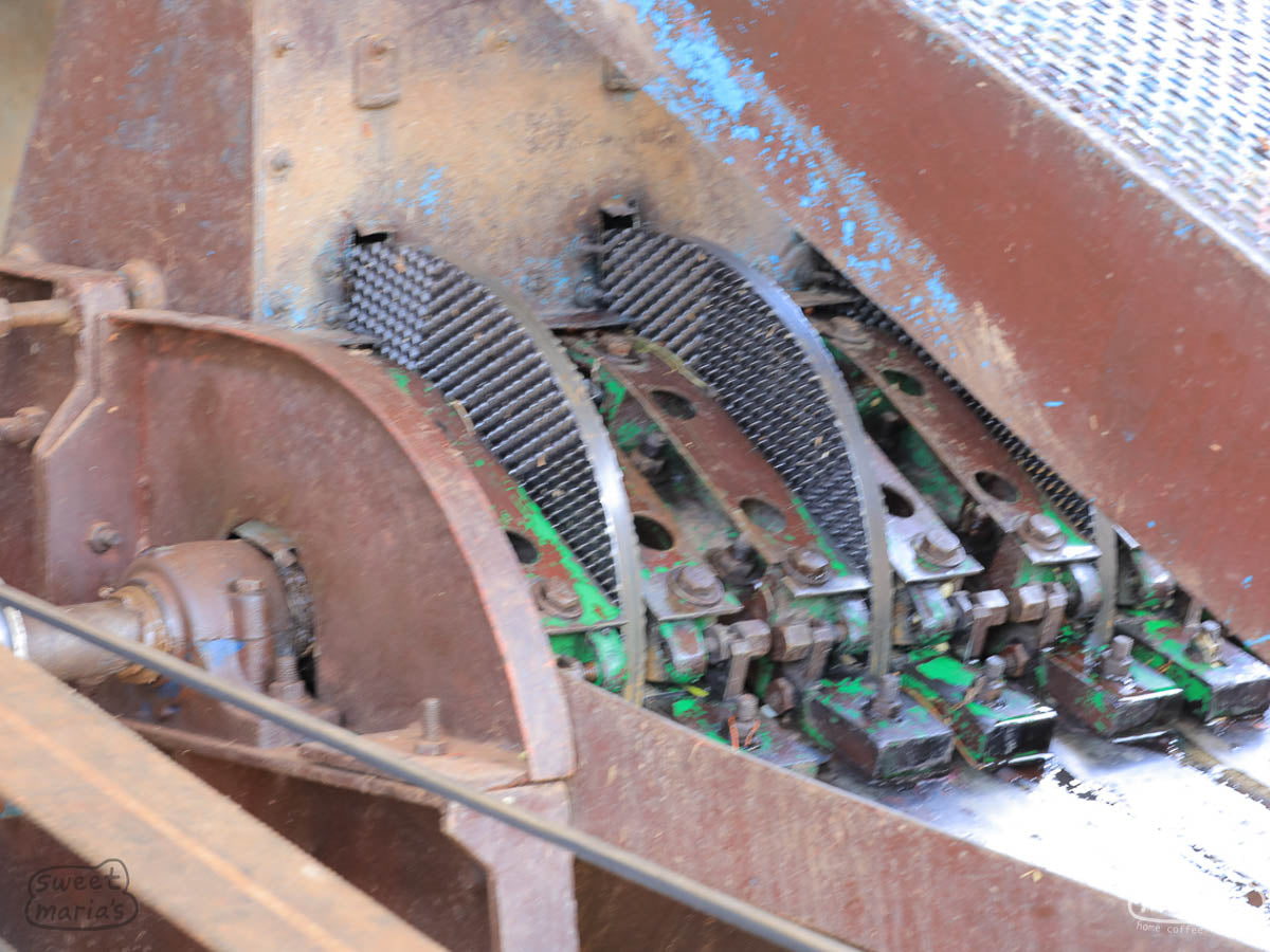  culling defects by hand as they go. Banko Gotiti wet mill