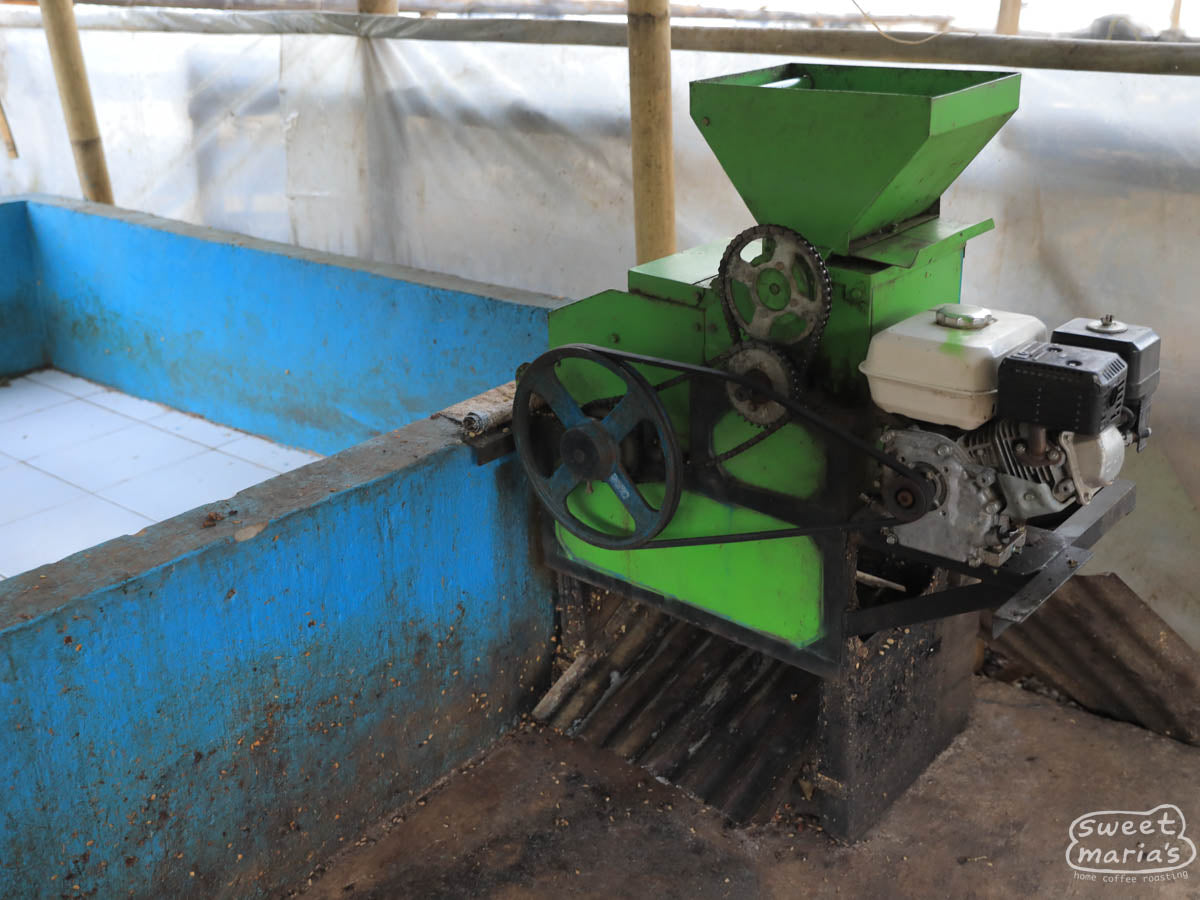 "Adadia" decal on a minivan looking very Ad*das in Bajawa.
