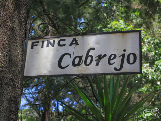 The sign hanging from a tree at the entryway reads 