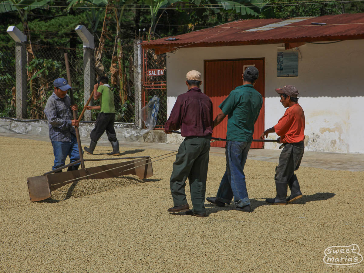 A shot of the ranch house and some of processing site at La Bolsa, where Rancho Viejo is from. La Libertad, Huehuetenango.