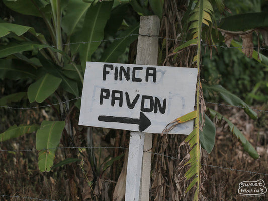Hand scrawled sign that reads 