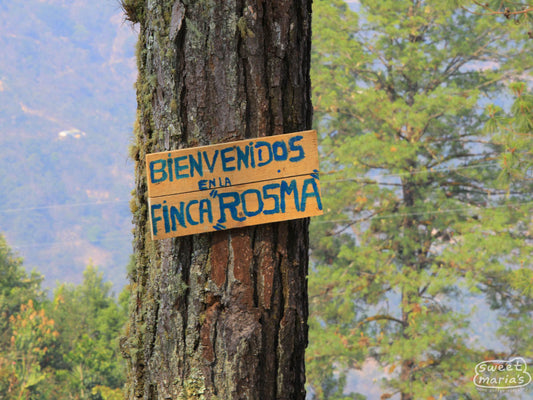 A hand painted sign that hangs on a tree reads, 