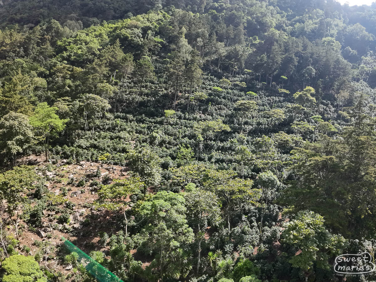  Huehuetenango