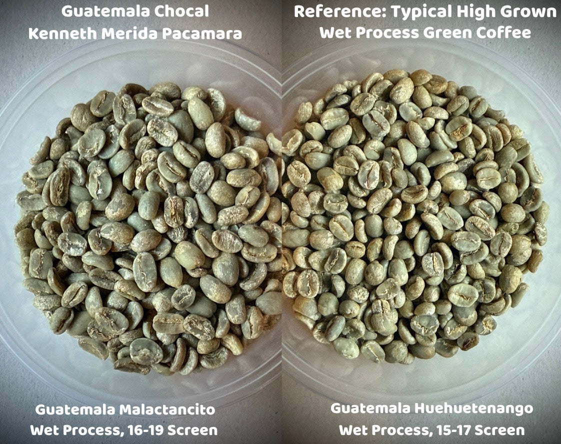 Guatemala Chocal Keneth Merida Pacamara