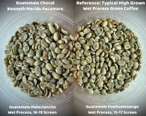 Guatemala Chocal Keneth Merida Pacamara