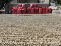  Guatemala.