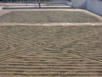 Parchment-covered green coffee drying on patios in Karnataka region of India.