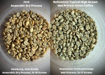 Java Anaerobic Dry Process Gambung