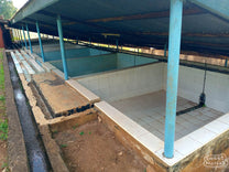 Raised drying tables at a coffee processing site in Kirinyaga.