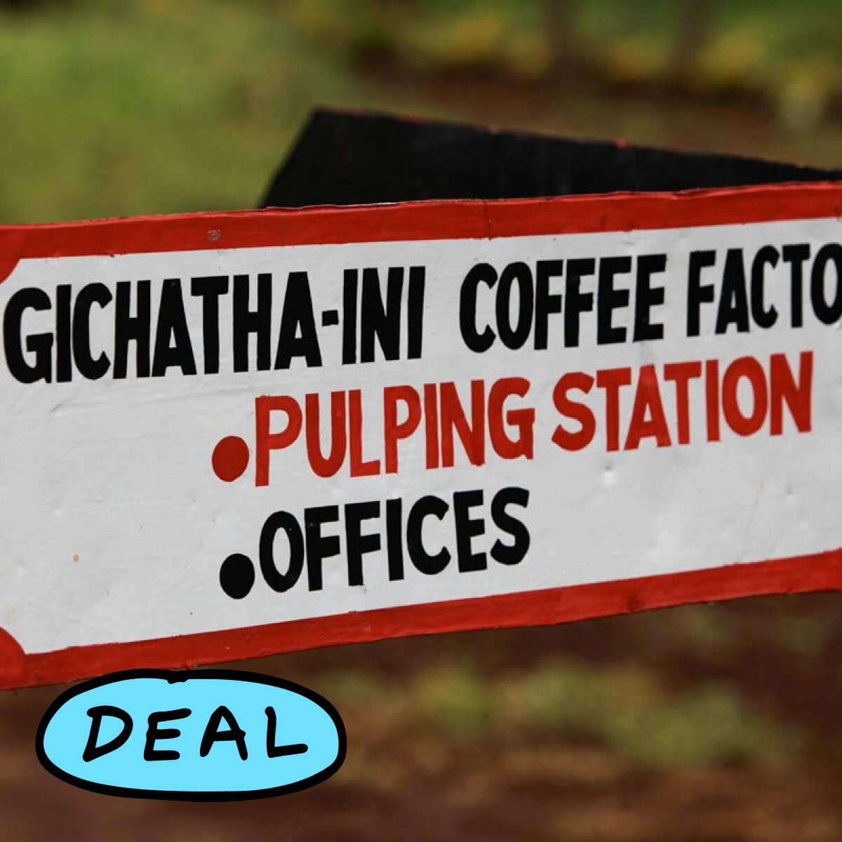 Hand-painted sign at the Gichathaini coffee factory pointing the way to the pulping station where the coffee cherry is removed from the green seeds. Nyeri, Kenya.