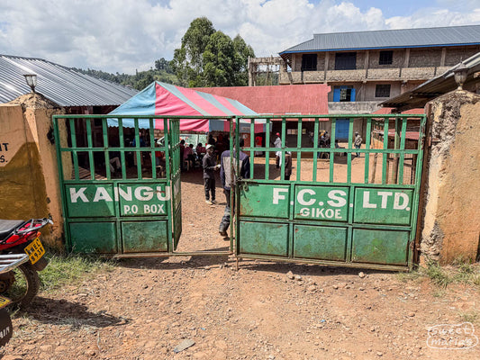 Metal gate painted green, with 