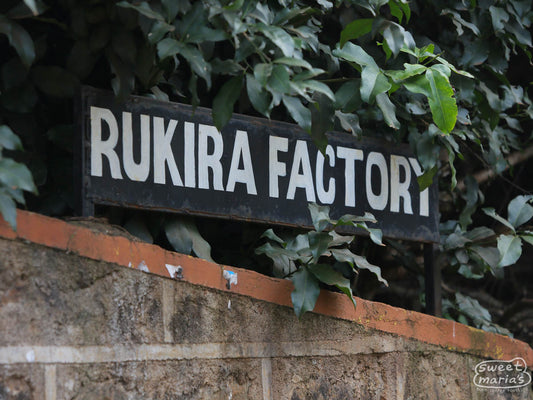 Hand-painted sign that reads, 