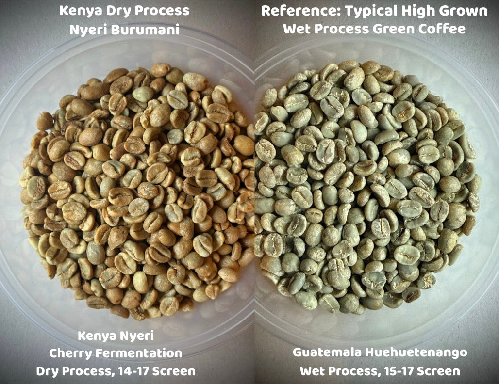 Kenya Dry Process Nyeri Burumani