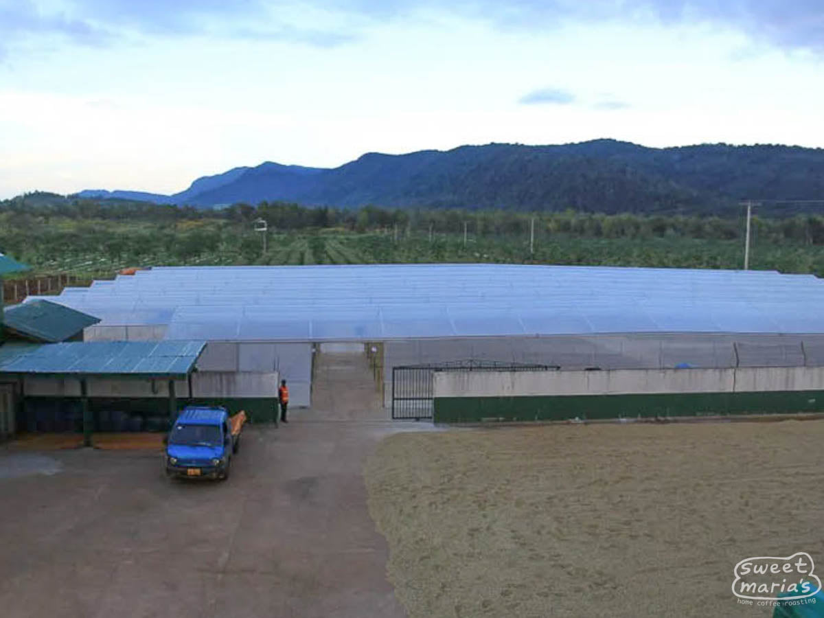 Outside view of a large central drying room at the site in Paksong where these small holder coffees are processed.