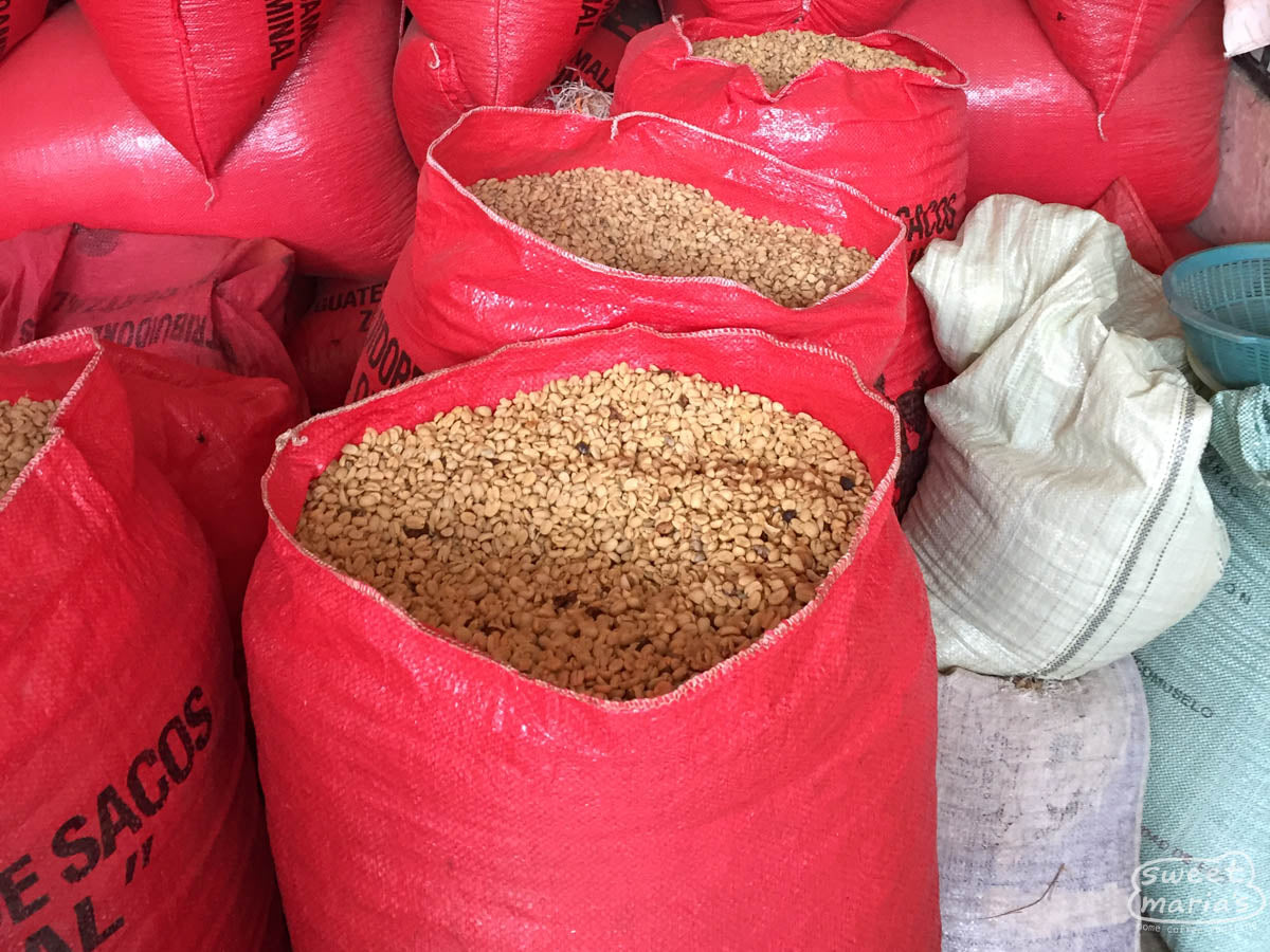 Mylar bags hold dried coffee beans that will soon be prepped for export. Chiapas, Mexico.