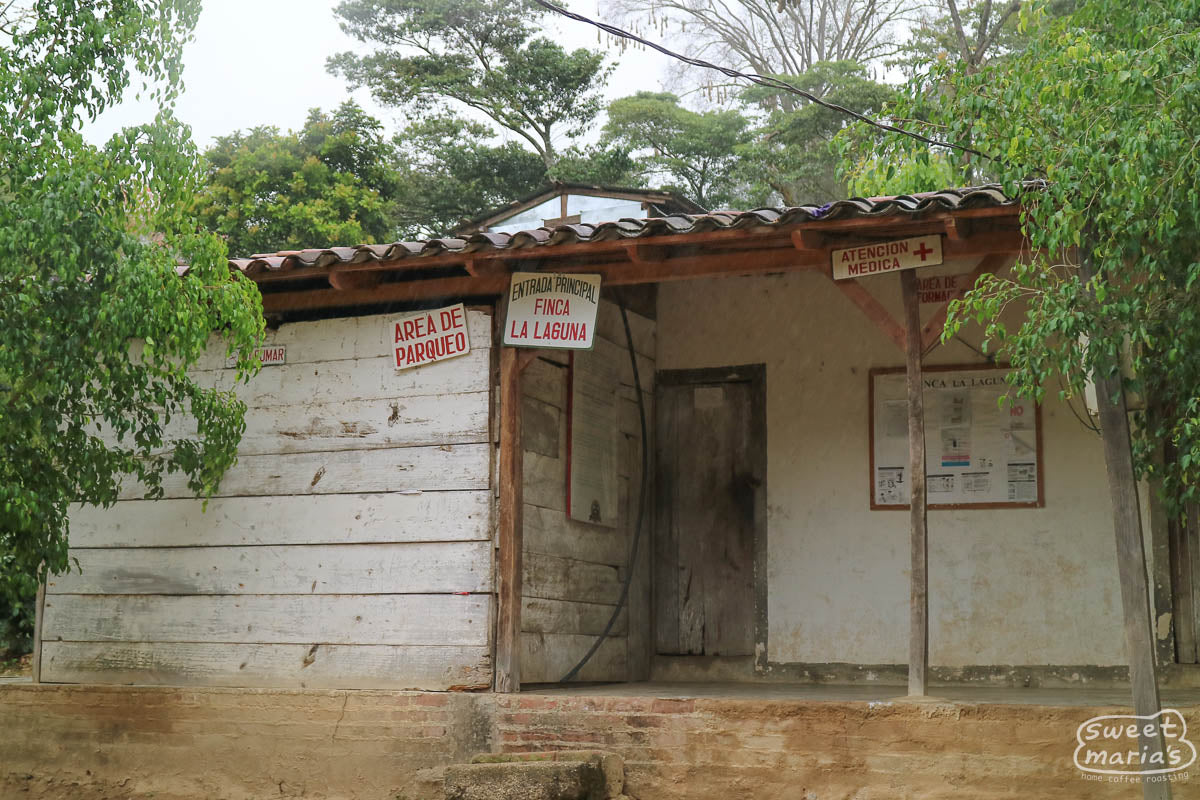 A small house constructed on La Laguna plot where farmers can find respite from the hard work of the harvest.