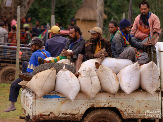 Workers deliver their harvested coffee cherries by truck in Baroida, Eastern Highlands.