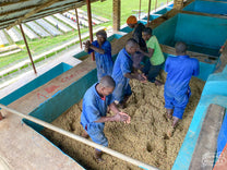  all will be full during the harvest peak. Gatare