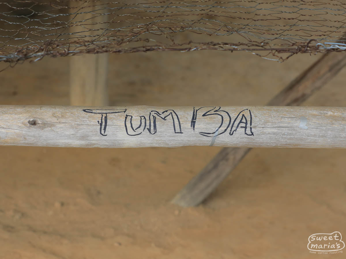 Dark red cherries are nearly dried on the raised beds at Tumba site, Rulindo, Rwanda.